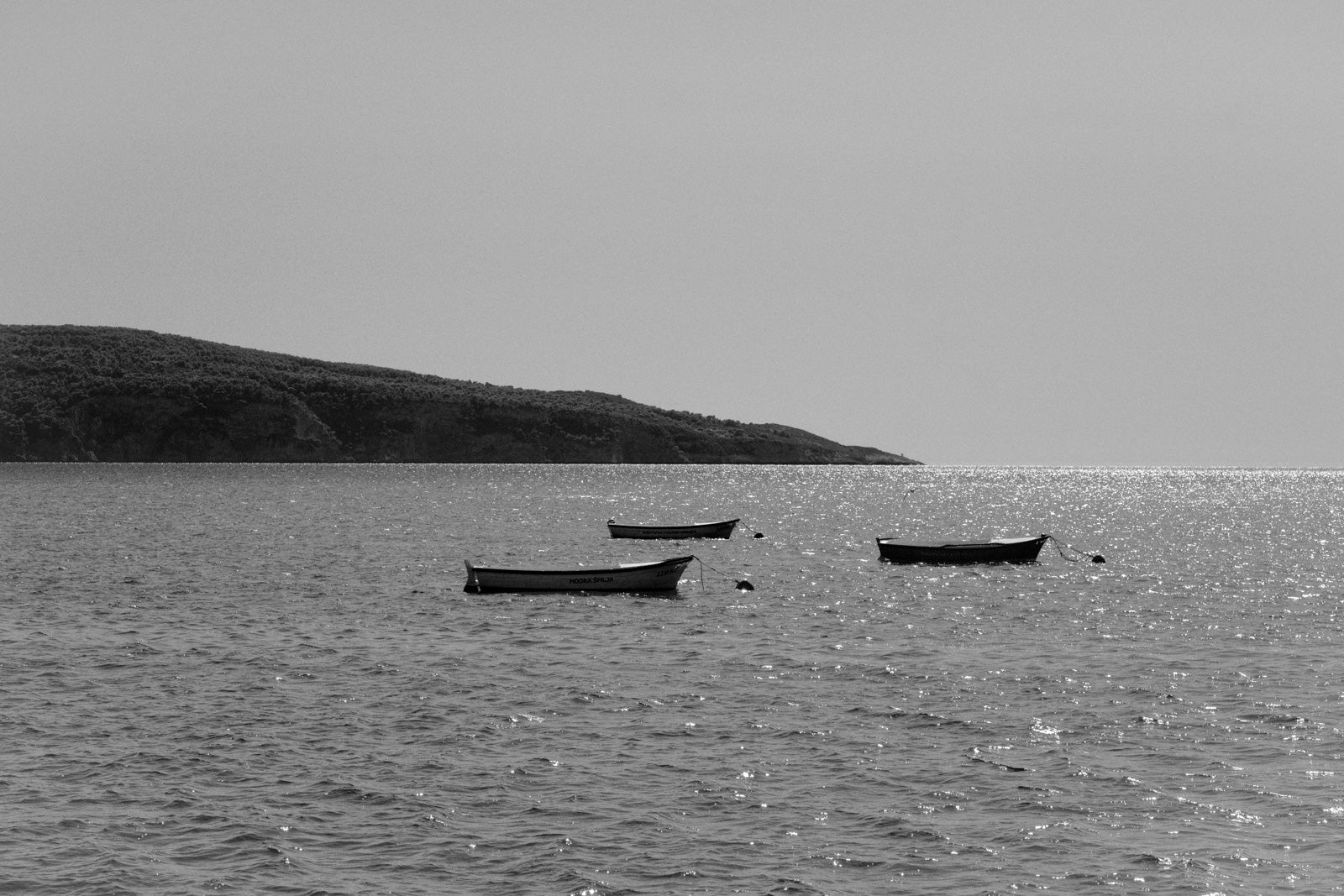 Sea Spirit