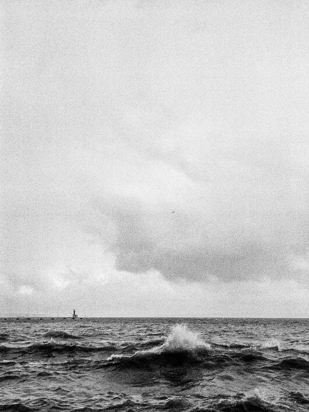 Wave of Mutilation