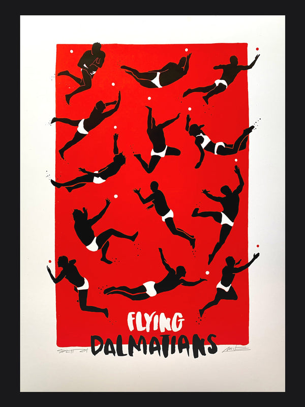 Flying Dalmatians